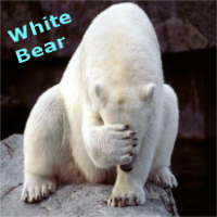 White Bear's Avatar