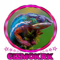 GizmoKRK's Avatar