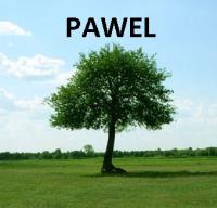Pawel's Avatar