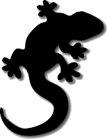 lizzard's Avatar